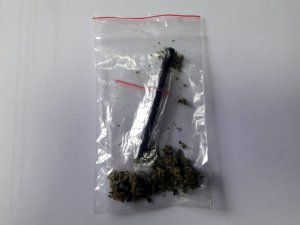 Zabezpieczona od nieletniego marihuana