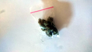 Marihuana zabezpieczona przez policjantów z Piastowa