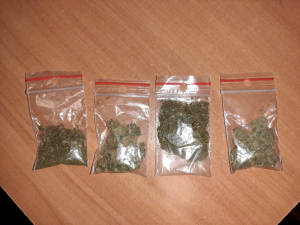 Na zdjęciu widoczne są cztery woreczki foliowe z zapięciem strunowym z zawartością suszu roślinnego -marihuany.