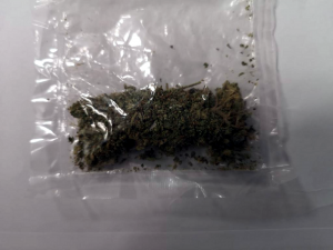 Na zdjęciu widoczna jest torebka foliowa z zawartością suszu roślinnego koloru ciemno-zielonego - marihuana.