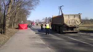 Na zdjęciu widoczni są policjanci z Wydziału Ruchu Drogowego, którzy wykonują czynności na miejscu wypadku widoczny jest tył pojazd ciężarowego oraz czerwony parawan.