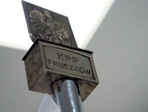 na zdjęciu orzełek od wierzchołka sztandaru