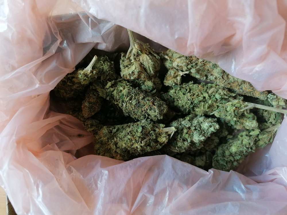 Odpowie za posiadanie 50 gramów marihuany - Aktualności -  KPP w Pruszkowie